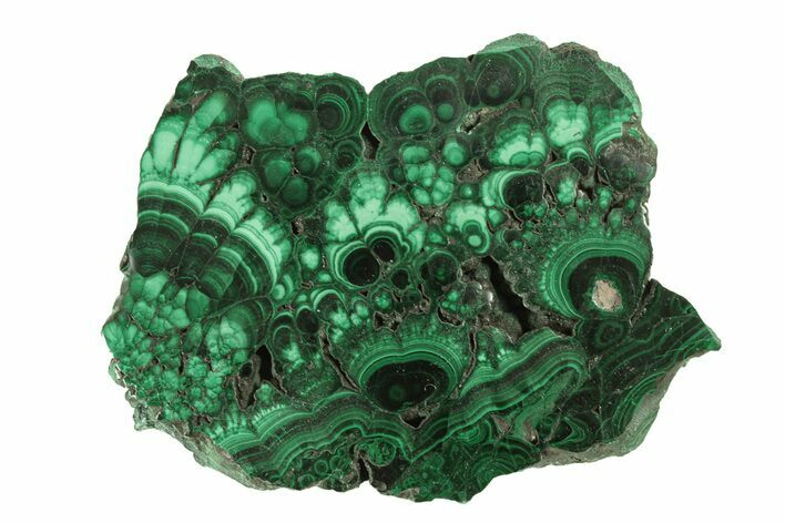 Flowery Polished Malachite Slab - DR Congo #264833